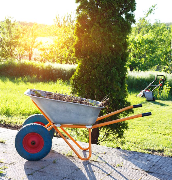 Gartenpflege in Trittau: Professioneller Gartenservice für Privathaushalte