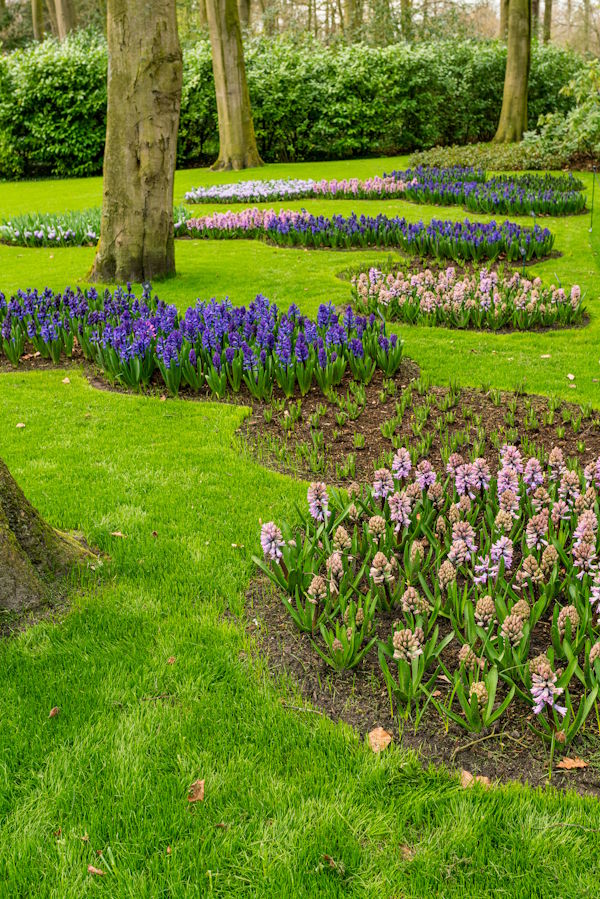 Gartenpflege für Senioren in Bargteheide