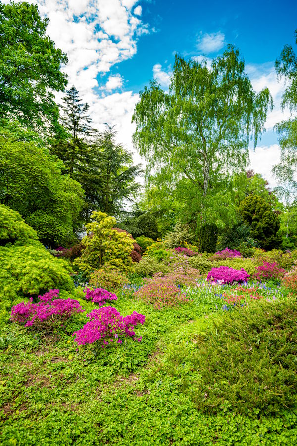 Gartenpflege in Großhansdorf